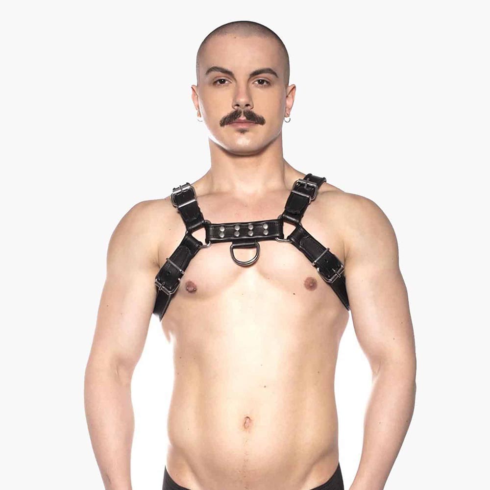 Bull Harness