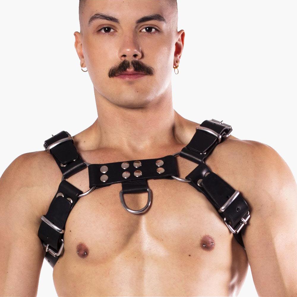 Butch Harness Premium