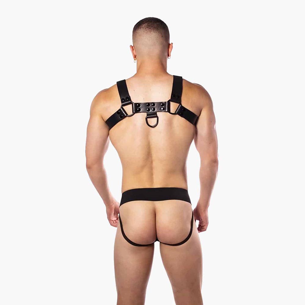 Noir Harness Premium
