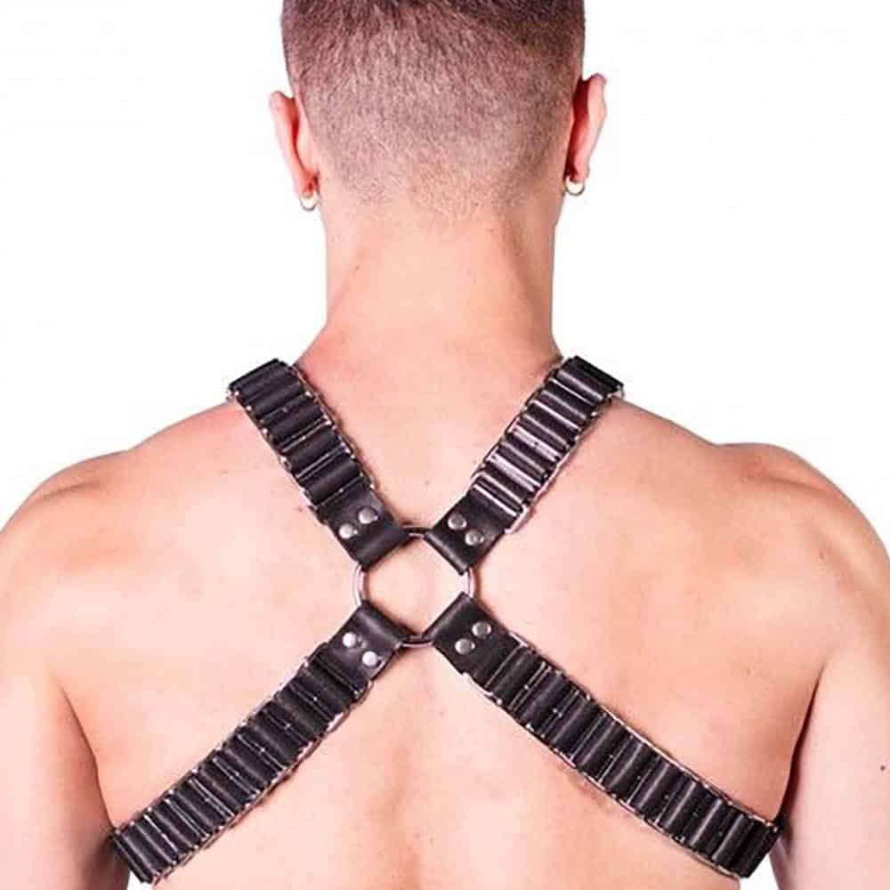 Ballistic Harness