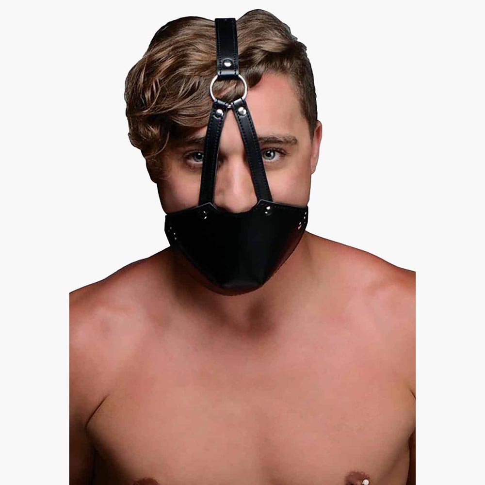 Mouth Harness with Ball Gag