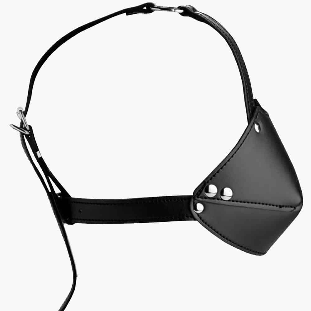 Mouth Harness with Ball Gag