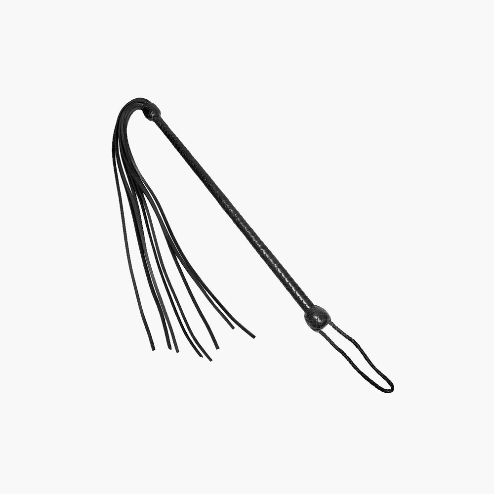 Long Handled Whip Long Handled Whip