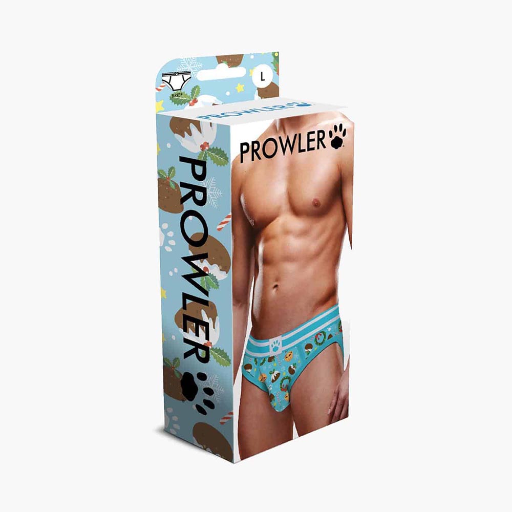 Christmas Pudding Brief Christmas Pudding Brief