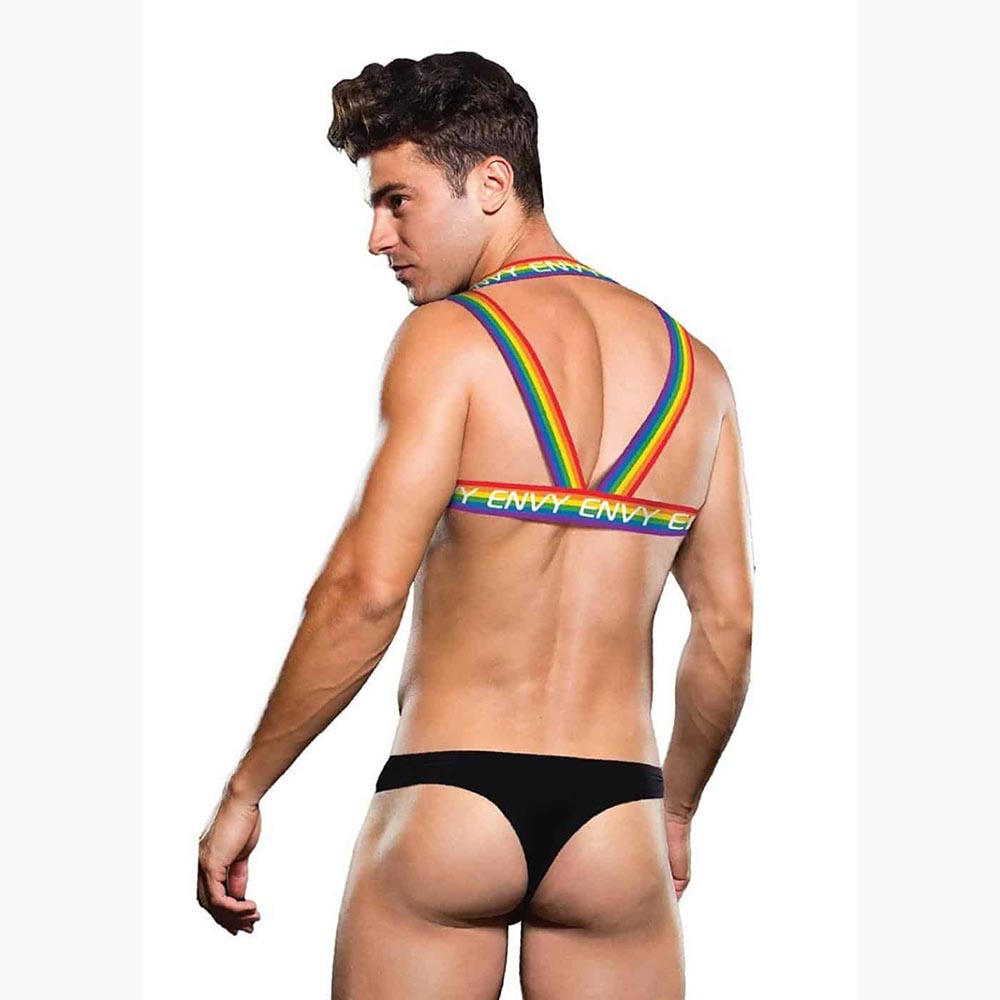 RAINBOW HARNESS