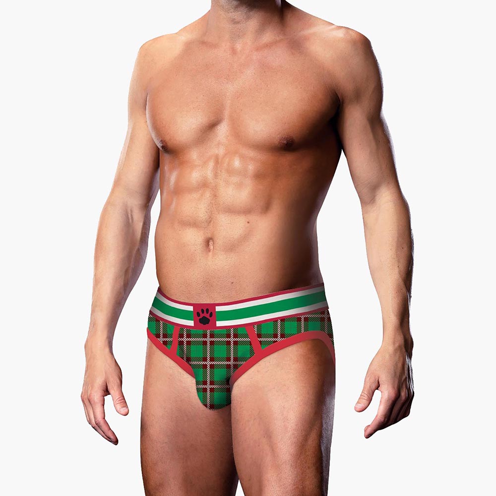 Tartan 2 Brief Tartan 2 Brief