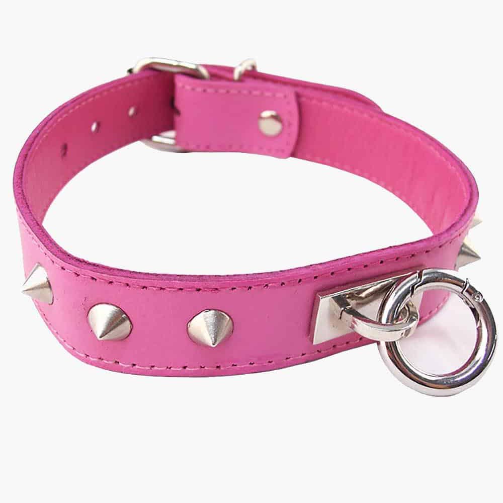 Studded O-Ring Studded Collar Studded O-Ring Studded Collar