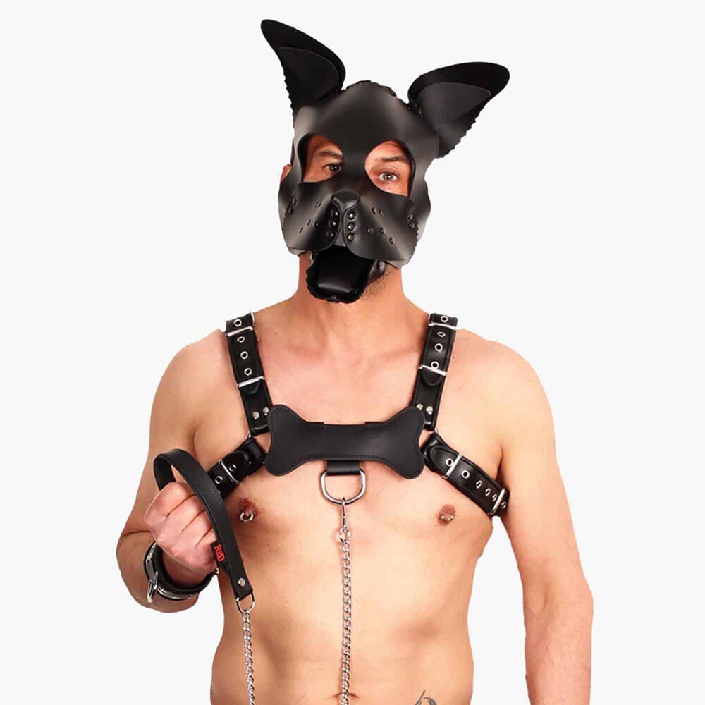 Leather Puppy Dog Mask