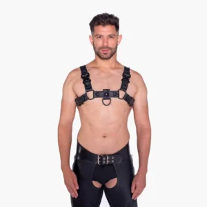Bull Harness Black with Metal Fittings