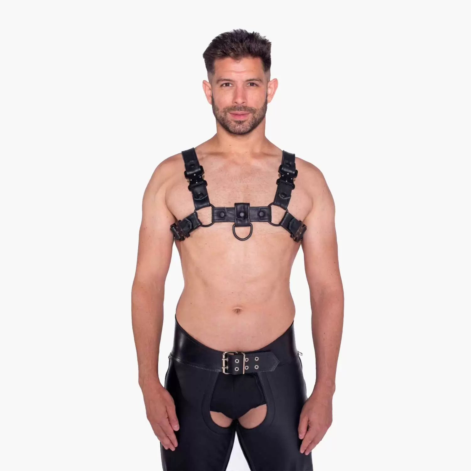 Bull Harness Black with Metal Fittings Bull Harness Black with Metal Fittings