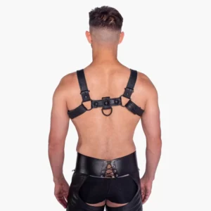 Bull Harness Black with Metal Fittings