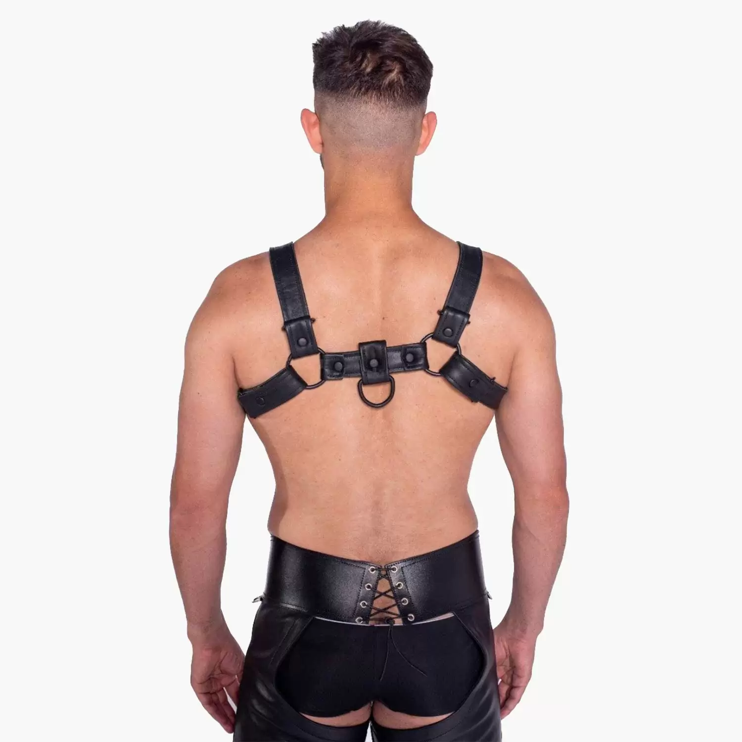 Bull Harness Black with Metal Fittings Bull Harness Black with Metal Fittings