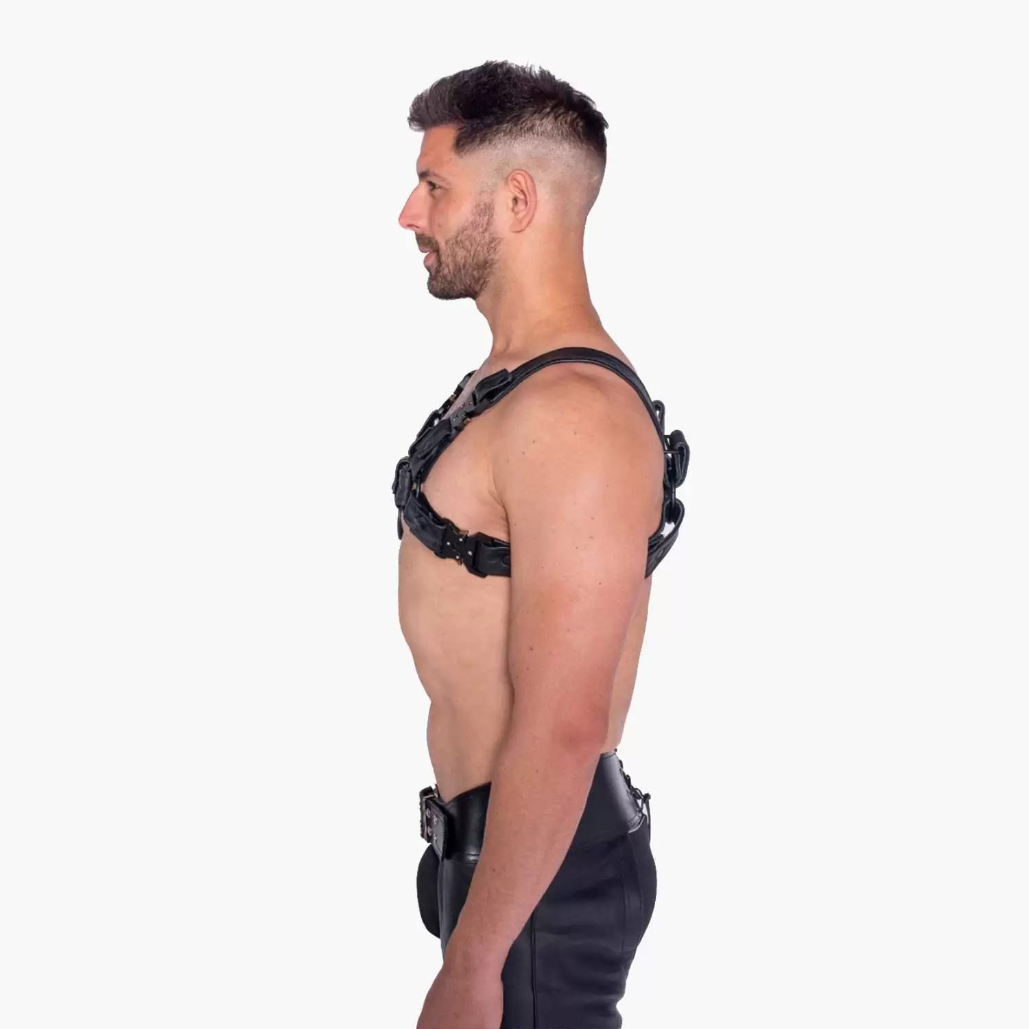 Bull Harness Black with Metal Fittings Bull Harness Black with Metal Fittings