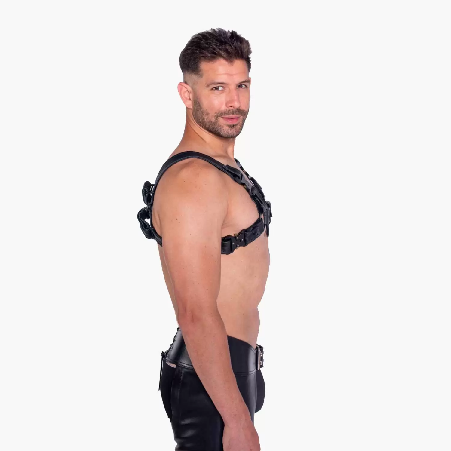 Bull Harness Black with Metal Fittings Bull Harness Black with Metal Fittings