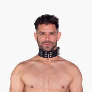 Leather Collar Leather Collar