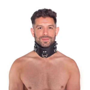 Leather Posture Collar Leather Posture Collar