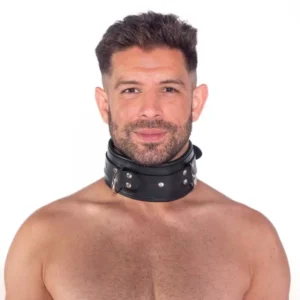 Leather Lockable Collar Leather Lockable Collar