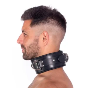 Leather Lockable Collar Leather Lockable Collar