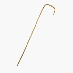 Bamboo Cane Bamboo Cane