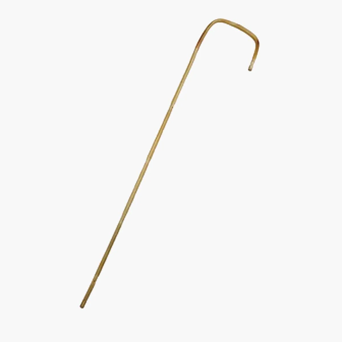 Bamboo Cane Bamboo Cane