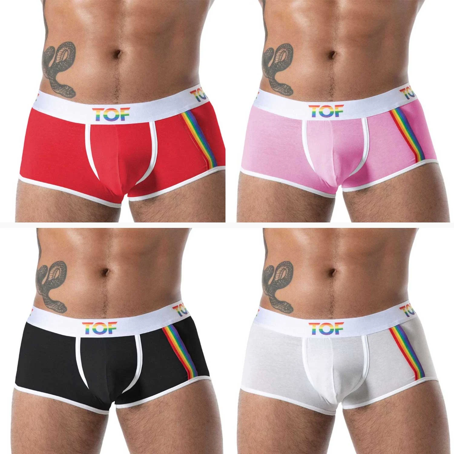 Joyful Pride Trunks